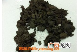 磁石的功效与作用 磁石的药用价值
