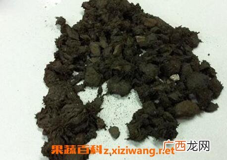 磁石的功效与作用 磁石的药用价值