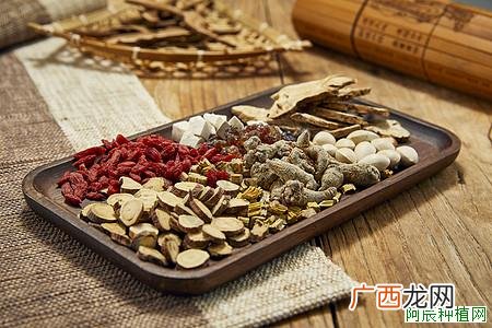 天麻怎么种植？天麻能直接种吗？