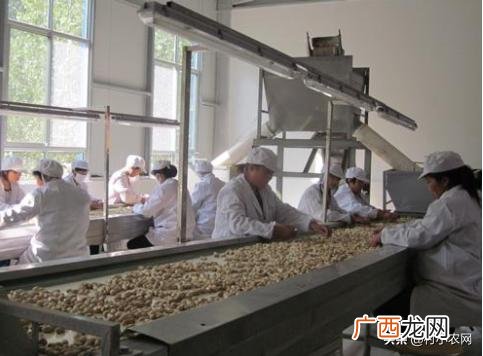 不愁销路的小型加工厂,农村干什么挣钱最快不要技术