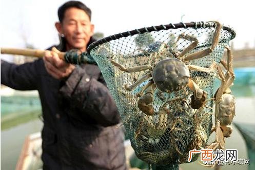 不愁销路的小型加工厂,农村干什么挣钱最快不要技术