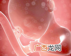 胎儿检测项目有哪些怎么判断胎儿性别