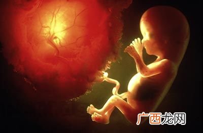 胎儿检测项目有哪些怎么判断胎儿性别