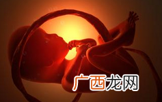 胎儿检测项目有哪些怎么判断胎儿性别