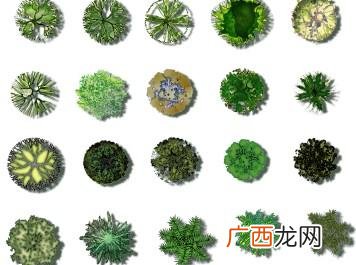 园林景观设计作品 园林景观素材大全
