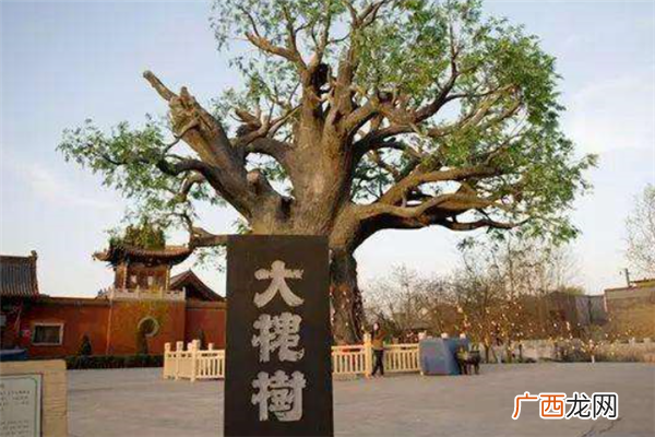 山西十大著名景点排行榜