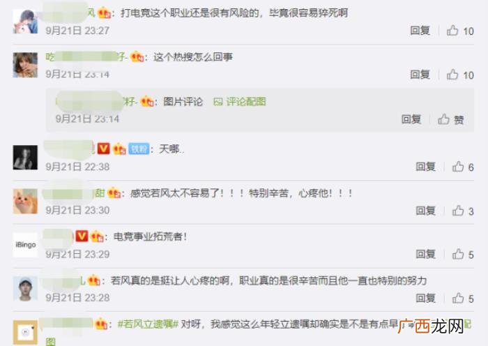 若风谈当年退役原因 若风为什么退役