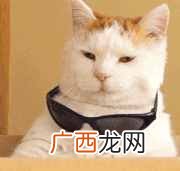 2021求职简历模板范文大全 完整个人简历样本