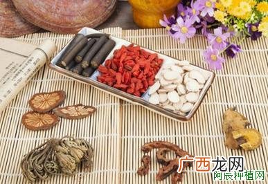 枸杞怎样进行肥水管理？枸杞肥水管理技术