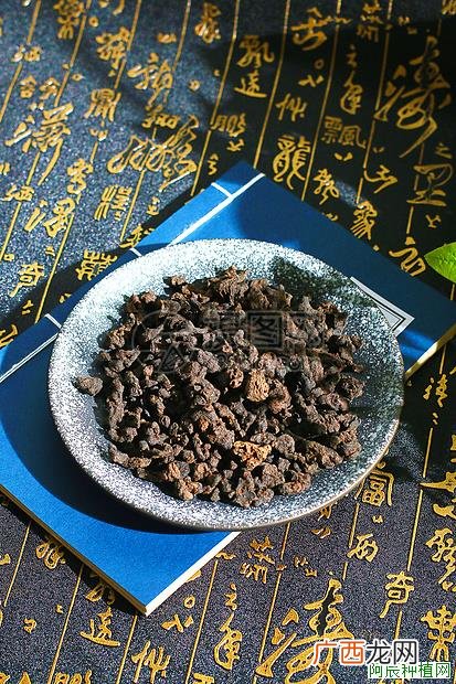 西洋参黑斑病症状及防治方法