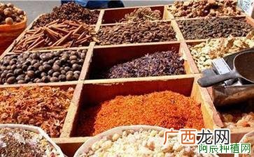 明党参猝倒病症状及防治方法