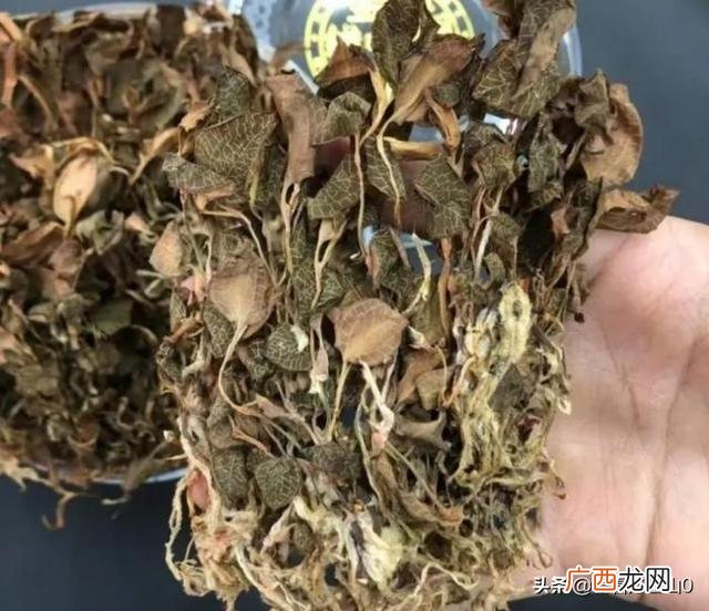 最贵的中药材一斤40万 致富经一亩地赚60万 摇钱树