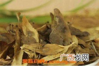 椿白皮的功效与作用 椿白皮的副作用