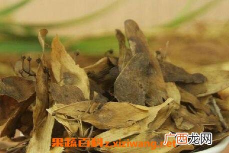 椿白皮的功效与作用 椿白皮的副作用