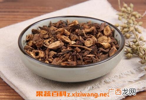 中药柴胡的功效作用及应用