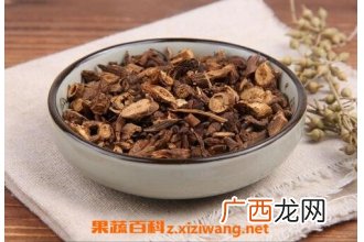 中药柴胡的功效作用及应用