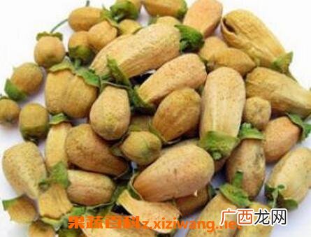 玳玳花的功效与作用 玳玳花的药用价值