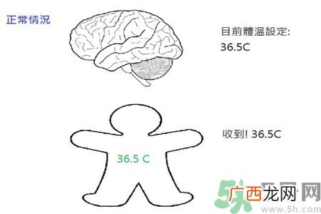 宝宝发烧怎么办?这样做菜正确