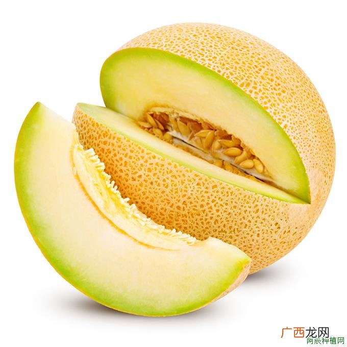 西瓜是什么时候种植？需要注意什么