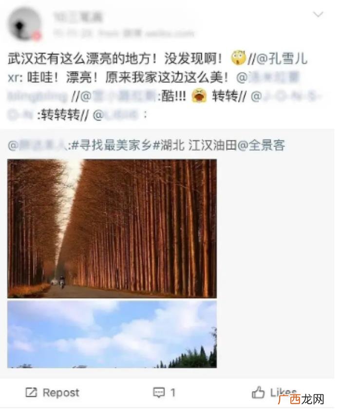 孔雪儿被扒隐瞒真实出生地 孔雪儿怎么了