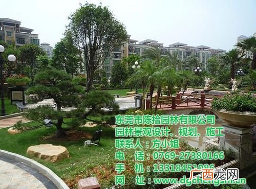 东莞市新城园林花艺有限公司 东莞园林绿化总公司