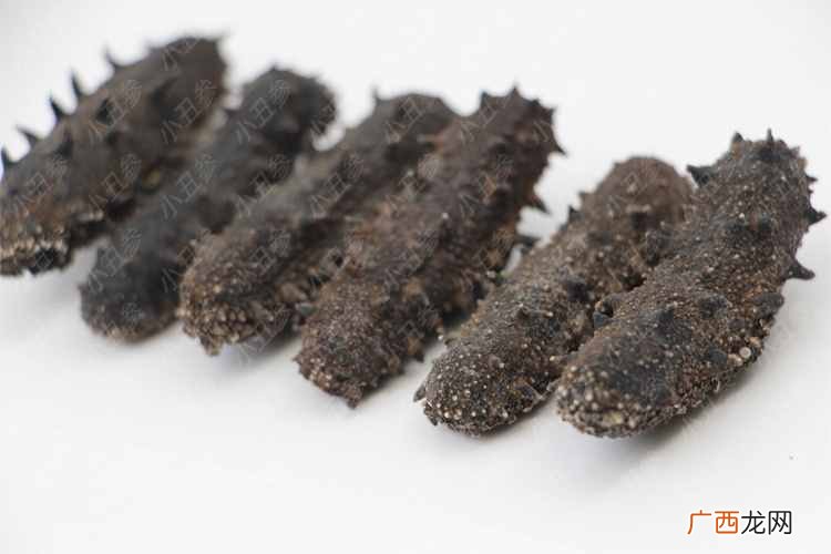 教你怎样辨别海参的真假好坏 好的干海参多少钱一斤