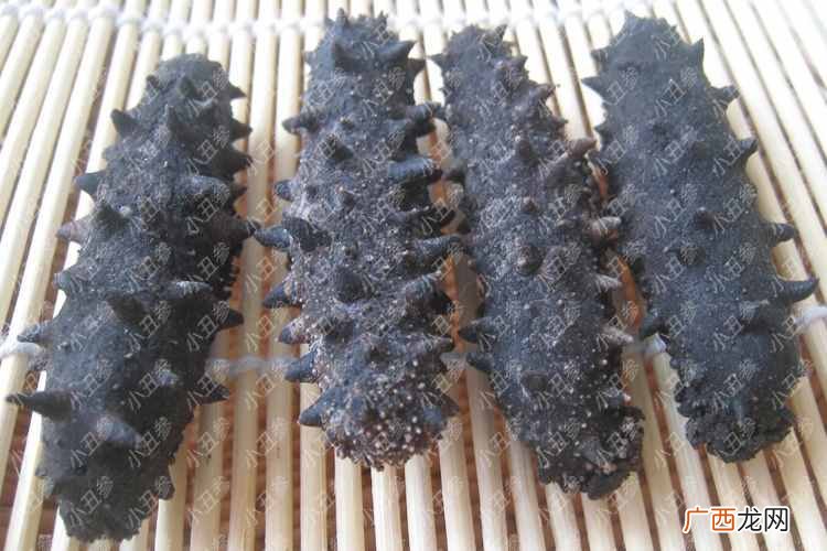 教你怎样辨别海参的真假好坏 好的干海参多少钱一斤