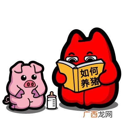 生猪屠宰流程视频 刺猪养殖视频教程