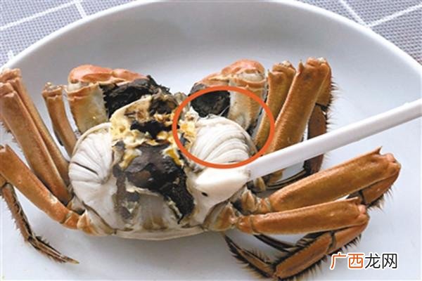 大闸蟹生活在淡水还是咸水 大闸蟹可以咸水养殖吗