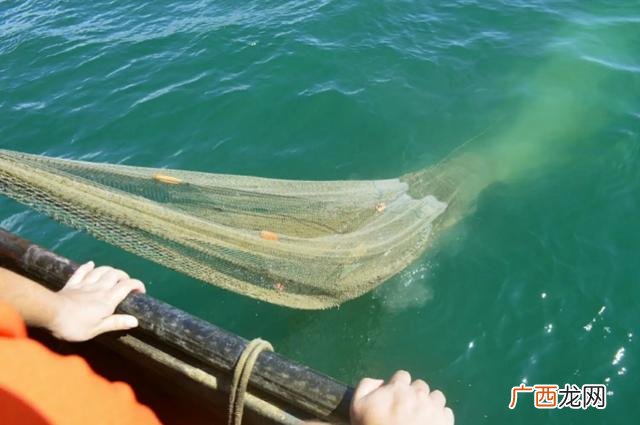 养殖铁丝网 淡水养殖钢丝网