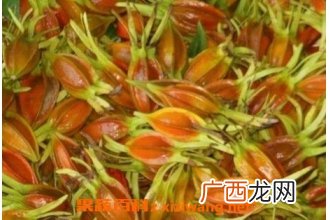 黄栀子的功效与作用 黄栀子的药用价值