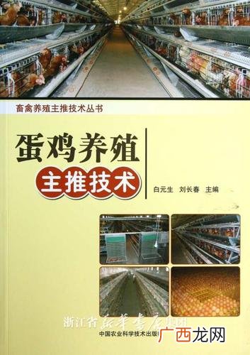 大型蛋鸡养殖场视频 美国蛋鸡养殖技术视频