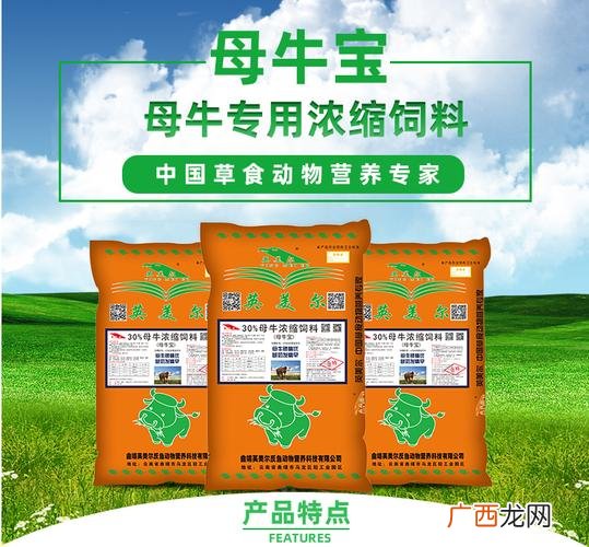 如何养母牛 母牛养殖技术在线视频