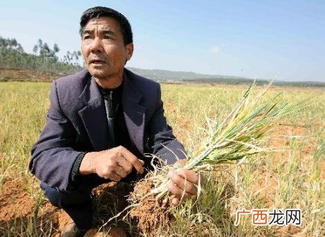 农村信用社贷款2万要求 农村信用社个人贷款需要什么条件