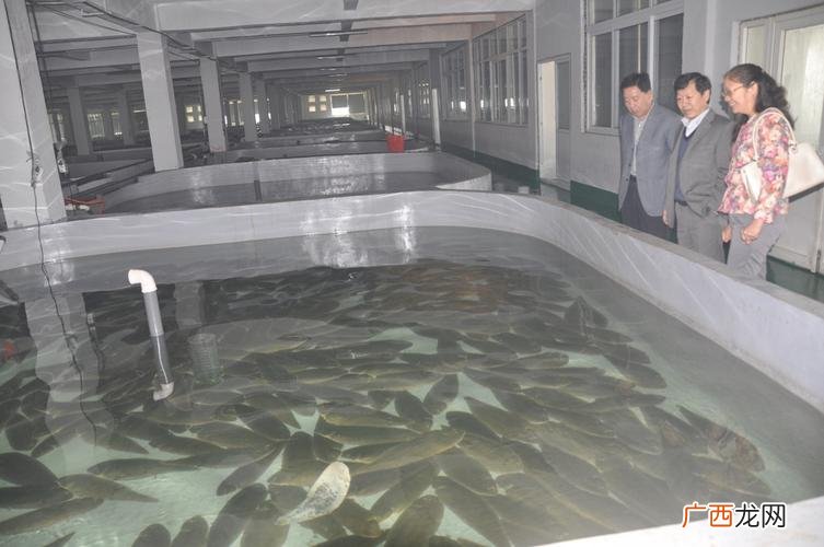水产药品厂家 水产养殖假药厂