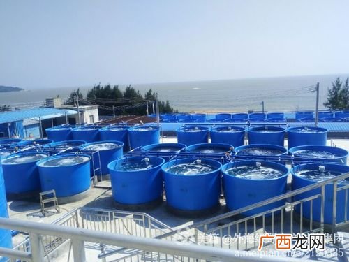 张店海盛水产市场地址 外海水产