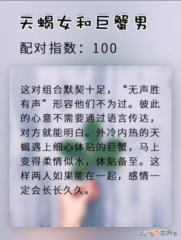 天蝎女和什么座最配，天蝎女和12星座男配对指数