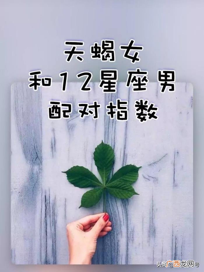 天蝎女和什么座最配，天蝎女和12星座男配对指数