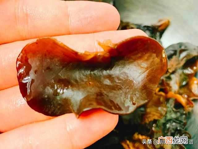 黑木儿的功效与作用禁忌(没注意这2点容易引起