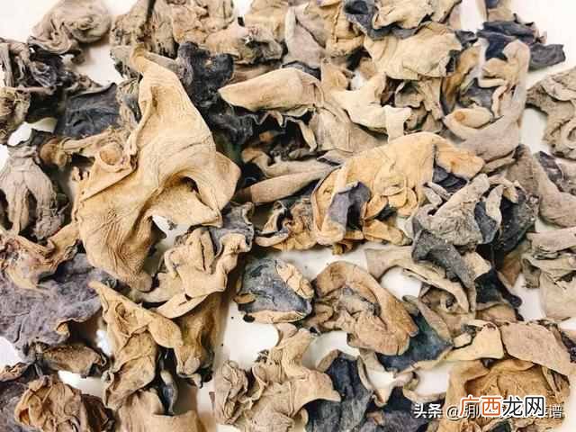 黑木儿的功效与作用禁忌(没注意这2点容易引起