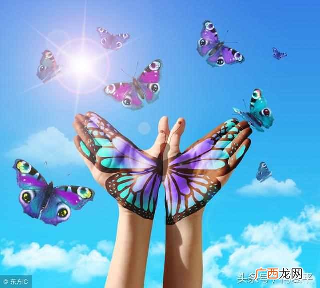 大学女生应该读的书籍（影响女生一生的7本书籍