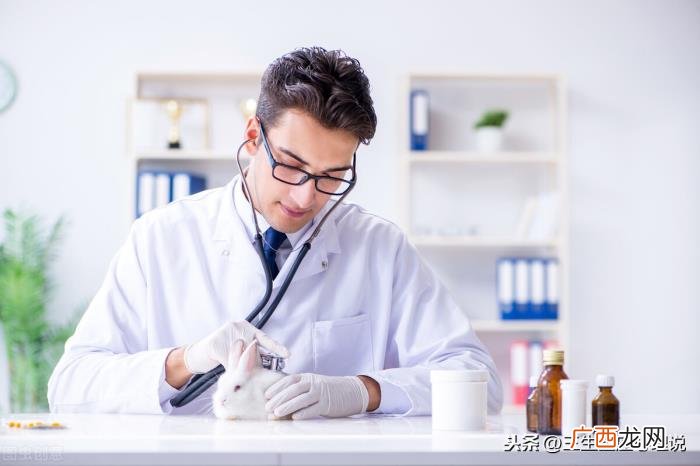 天蝎男容易爱上天蝎女，天蝎座与天蝎座的爱情-看似相配