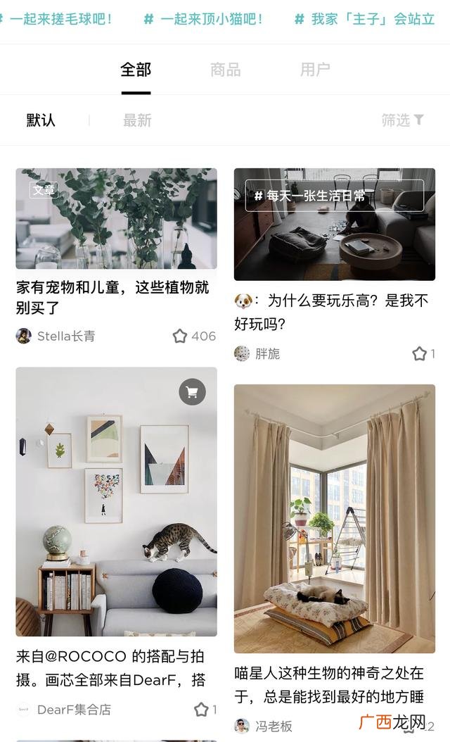 自己想开小型猫砂工厂 开一个小厂子做什么好