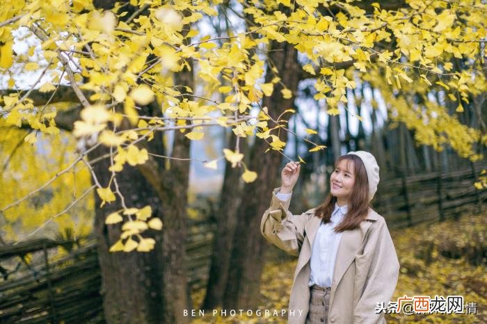 静待花落；冷暖自知 冷暖自知配图