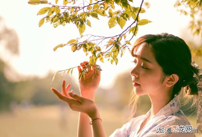 静待花落；冷暖自知 冷暖自知配图