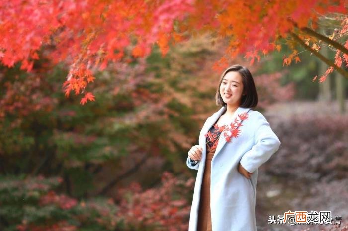 静待花落；冷暖自知 冷暖自知配图