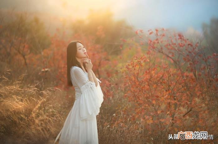 静待花落；冷暖自知 冷暖自知配图