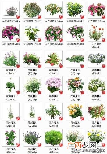 北京新增54例感染者 2地升高风险 园林绿化介绍