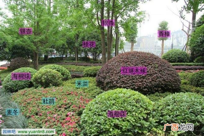 北京新增54例感染者 2地升高风险 园林绿化分类