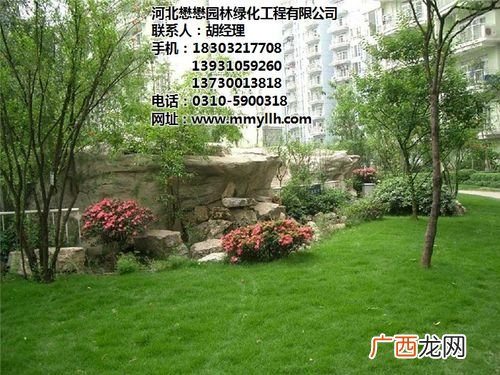 北京新增54例感染者 2地升高风险 合肥芳草地园林有限公司